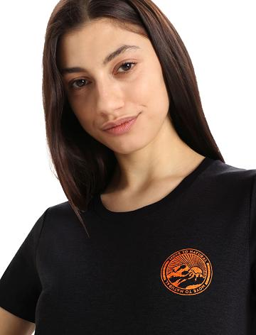 Dámské Tričko Icebreaker Merino Central Classic Krátké Sleeve Move to Natural Mountain Černé | CZ 1385OKIR